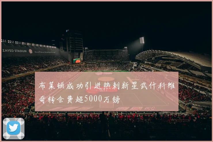 布莱顿成功引进热刺新星武什科维奇转会费超5000万镑